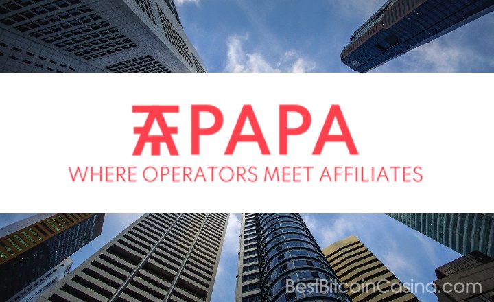 Interview with Lisa Stainfield. Head of AffPapa.com