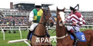 New 0% commission Boxing Day offer from BETDAQ