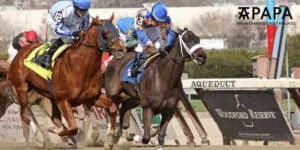 BetMakers enters Jamaican horse racing market with new partnership