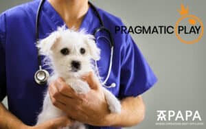 Pragmatic Play’s Exemplary Corporate Social Responsibility Policy