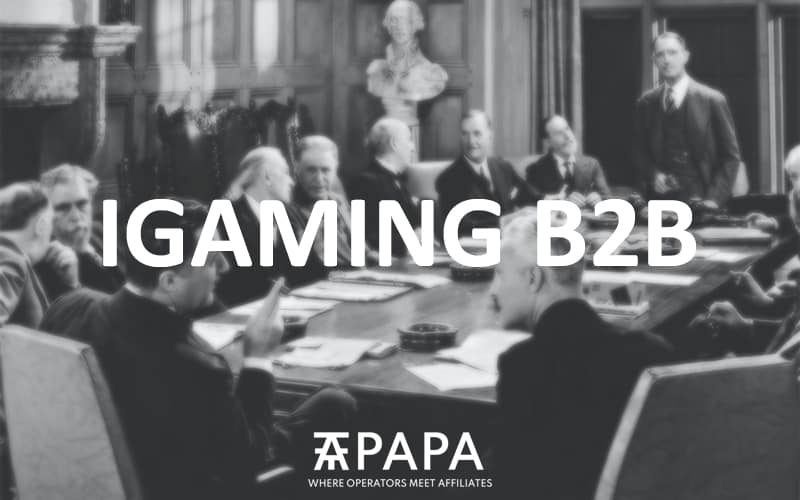 13 Best iGaming B2B Providers