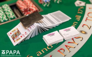 Pink Palace casino night raises $100K for cancer
