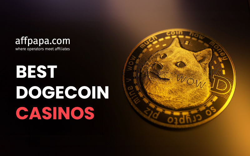 11 Best Dogecoin Casinos to Partner with in 2024