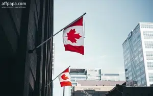Ontario reports revenue for the Q1