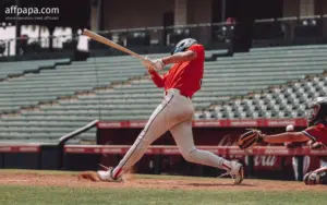 Illegal online betting on Japanese high school baseball