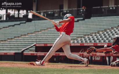Illegal online betting on Japanese high school baseball