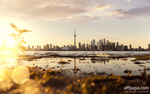 Study reveals Ontario players’ preferences in online gambling