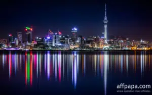 NZ online casino licenses coming in 2026