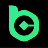 BC.Game Affiliates logo
