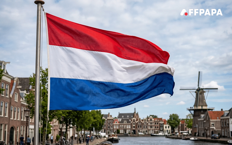 Netherlands to fight illegal gambling with Meta and Google