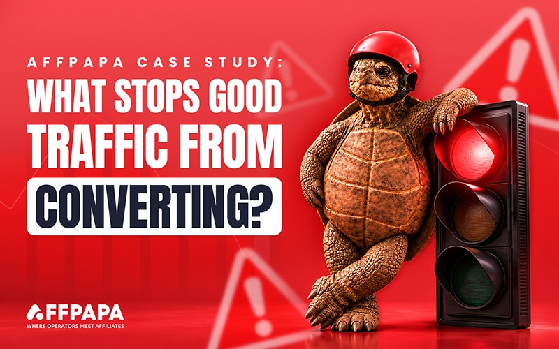 AffPapa Case Study: Fixing Affiliate Conversion